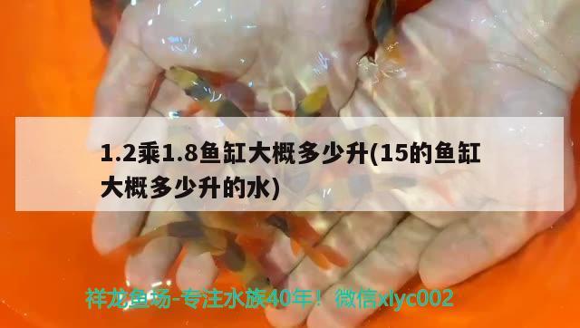 1.2乘1.8魚缸大概多少升(15的魚缸大概多少升的水)