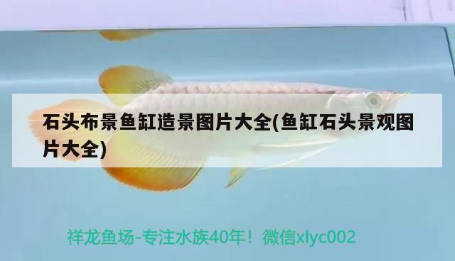 石頭布景魚缸造景圖片大全(魚缸石頭景觀圖片大全) 生態(tài)瓶/創(chuàng)意缸/桌面微景缸