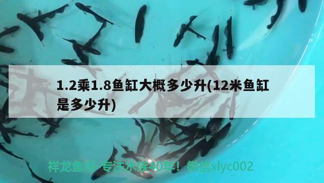 1.2乘1.8魚缸大概多少升(12米魚缸是多少升)