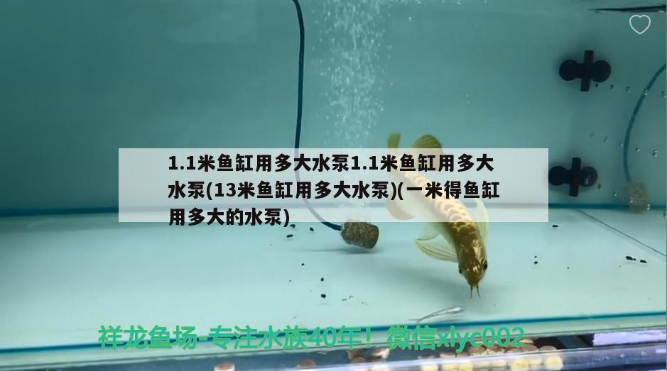 1.1米魚缸用多大水泵1.1米魚缸用多大水泵(13米魚缸用多大水泵)(一米得魚缸用多大的水泵)