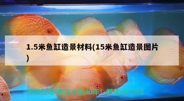 1.5米魚缸造景材料(15米魚缸造景圖片) 大嘴鯨魚