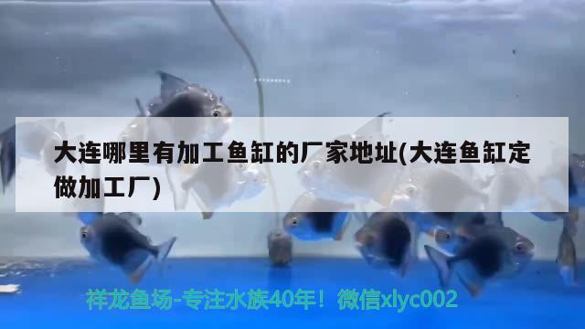 大連哪里有加工魚缸的廠家地址(大連魚缸定做加工廠) 祥龍水族濾材/器材