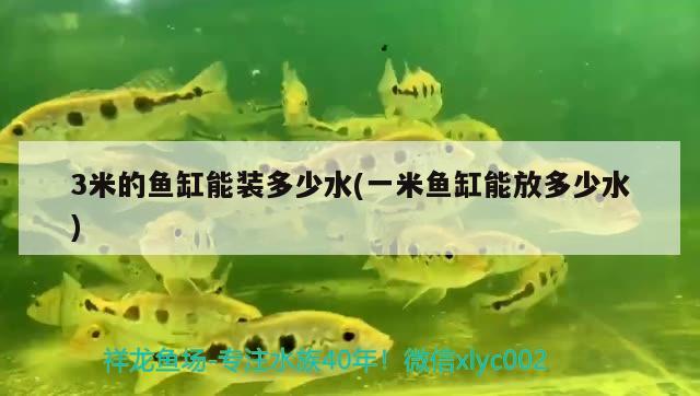 3米的魚(yú)缸能裝多少水(一米魚(yú)缸能放多少水) 硝化細(xì)菌