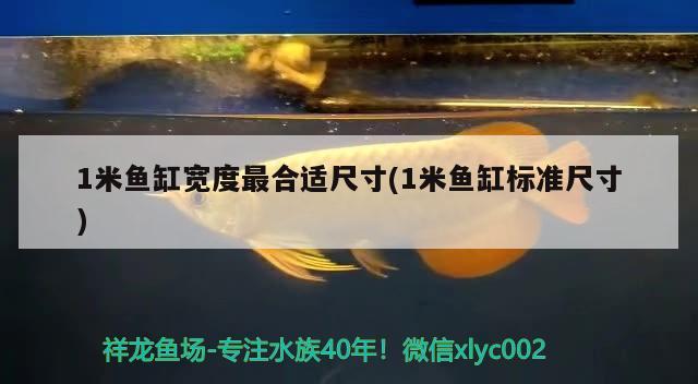 1米魚缸寬度最合適尺寸(1米魚缸標準尺寸) 黃金貓魚百科