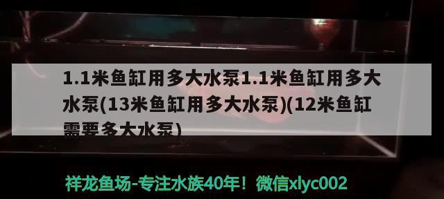 1.1米魚(yú)缸用多大水泵1.1米魚(yú)缸用多大水泵(13米魚(yú)缸用多大水泵)(12米魚(yú)缸需要多大水泵) 赤焰中國(guó)虎魚(yú)