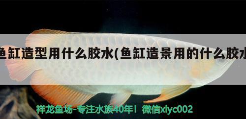 魚缸造型用什么膠水(魚缸造景用的什么膠水) 藍(lán)帆三間魚