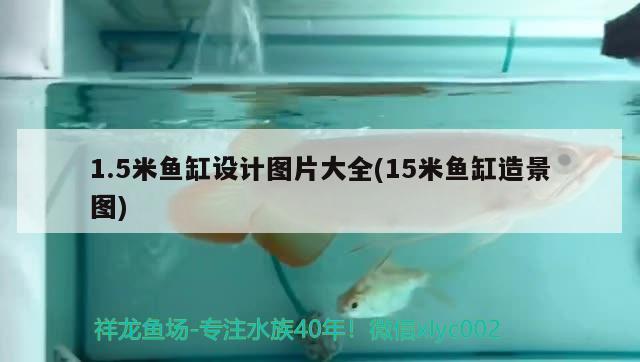 1.5米魚缸設(shè)計(jì)圖片大全(15米魚缸造景圖) 祥龍龍魚魚糧