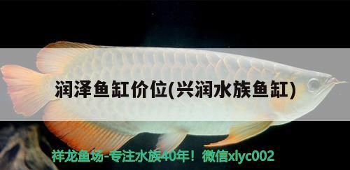 潤(rùn)澤魚缸價(jià)位(興潤(rùn)水族魚缸) 賽級(jí)紅龍魚