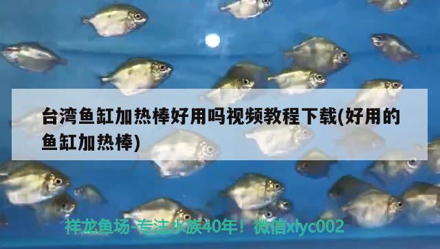 臺(tái)灣魚缸加熱棒好用嗎視頻教程下載(好用的魚缸加熱棒)