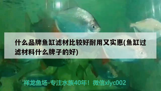 什么品牌魚缸濾材比較好耐用又實惠(魚缸過濾材料什么牌子的好) 水溫計