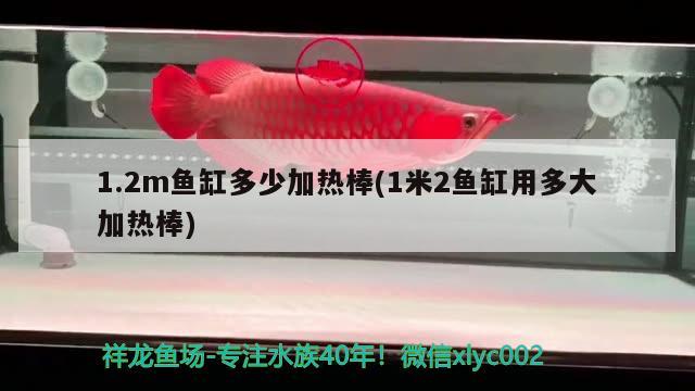 1.2m魚缸多少加熱棒(1米2魚缸用多大加熱棒) 薩伊藍(lán)魚