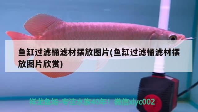 魚缸過濾桶濾材擺放圖片(魚缸過濾桶濾材擺放圖片欣賞)