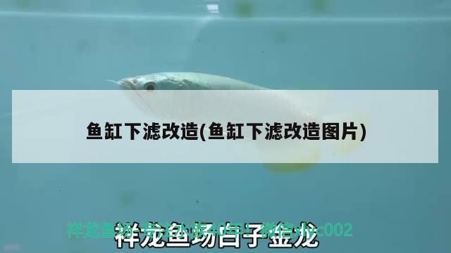 魚缸下濾改造(魚缸下濾改造圖片) 哥倫比亞巨暴魚苗