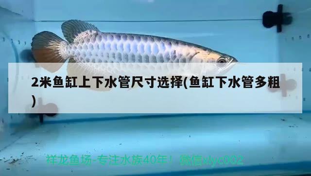 2米魚缸上下水管尺寸選擇(魚缸下水管多粗)