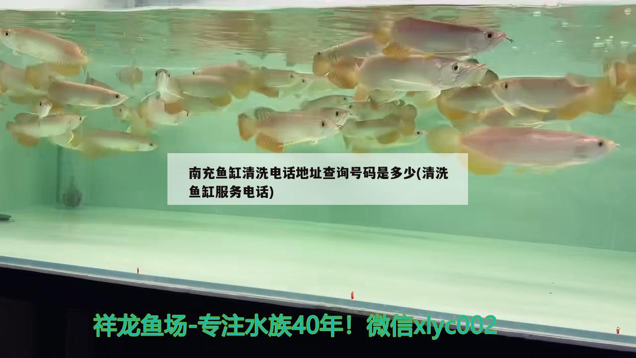 南充魚缸清洗電話地址查詢號(hào)碼是多少(清洗魚缸服務(wù)電話)