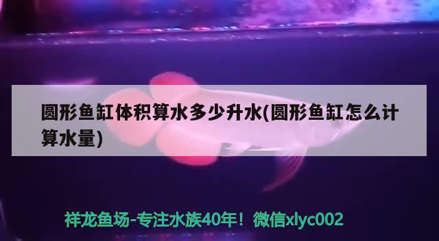 圓形魚(yú)缸體積算水多少升水(圓形魚(yú)缸怎么計(jì)算水量)