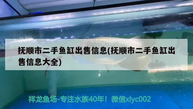 撫順市二手魚缸出售信息(撫順市二手魚缸出售信息大全) 黃金夢幻雷龍魚