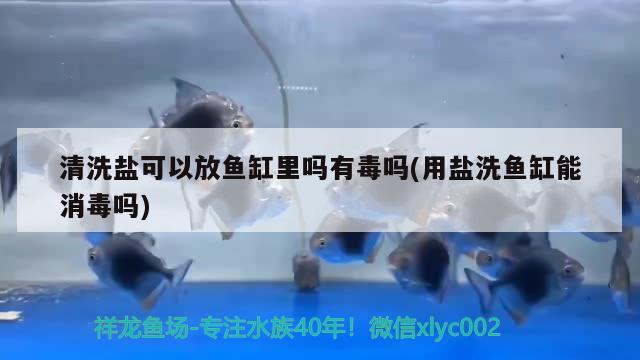 清洗鹽可以放魚缸里嗎有毒嗎(用鹽洗魚缸能消毒嗎) 稀有金龍魚