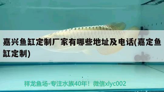 嘉興魚缸定制廠家有哪些地址及電話(嘉定魚缸定制) 肥料