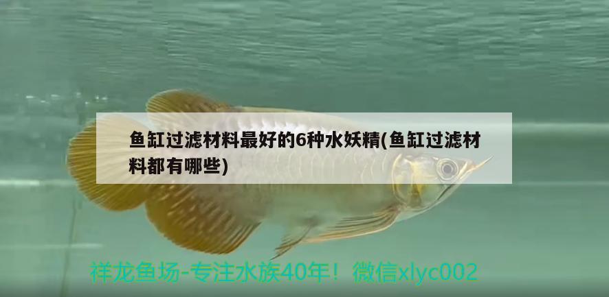 魚(yú)缸過(guò)濾材料最好的6種水妖精(魚(yú)缸過(guò)濾材料都有哪些) 黃金斑馬魚(yú)