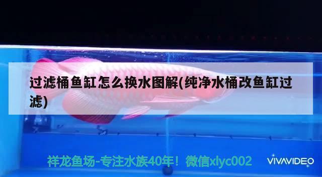 過濾桶魚缸怎么換水圖解(純凈水桶改魚缸過濾) 女王大帆魚