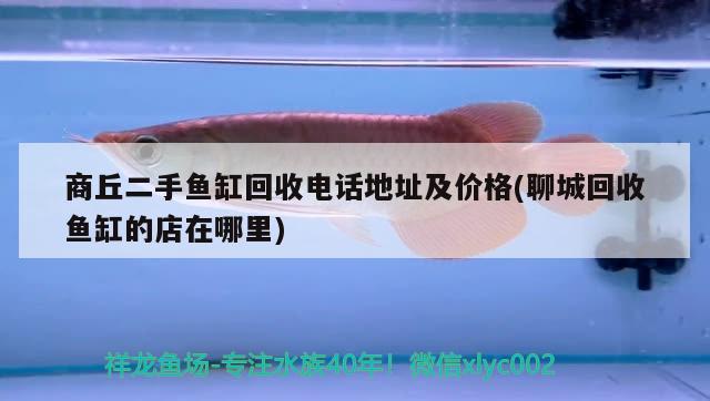 商丘二手魚(yú)缸回收電話地址及價(jià)格(聊城回收魚(yú)缸的店在哪里) 可麗愛(ài)魚(yú)缸