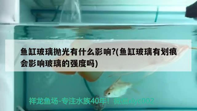 魚缸玻璃拋光有什么影響？(魚缸玻璃有劃痕會影響玻璃的強(qiáng)度嗎)