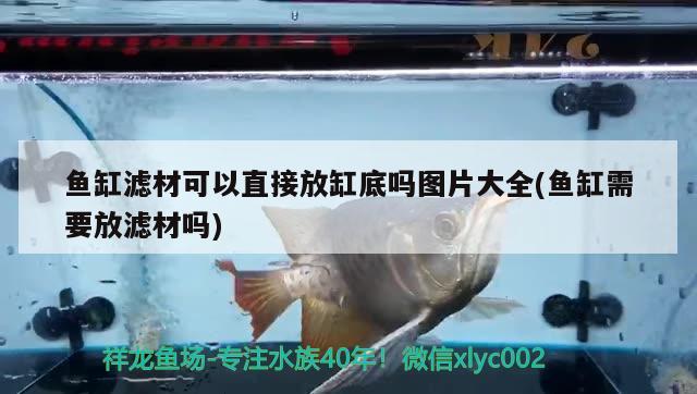 魚缸濾材可以直接放缸底嗎圖片大全(魚缸需要放濾材嗎) 申古三間魚