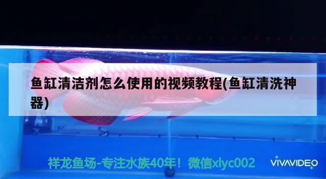 魚缸清潔劑怎么使用的視頻教程(魚缸清洗神器) 魚缸/水族箱 第2張