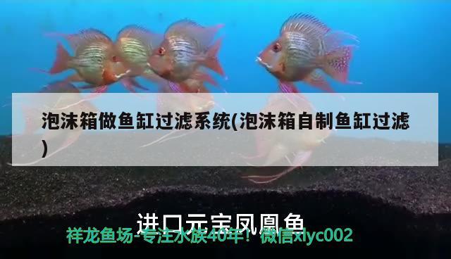 泡沫箱做魚缸過濾系統(tǒng)(泡沫箱自制魚缸過濾)