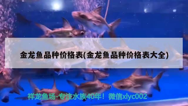 金龍魚品種價格表(金龍魚品種價格表大全) 斑馬鴨嘴魚