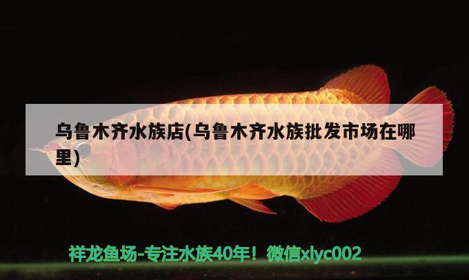 烏魯木齊水族店(烏魯木齊水族批發(fā)市場(chǎng)在哪里) 觀賞魚水族批發(fā)市場(chǎng)