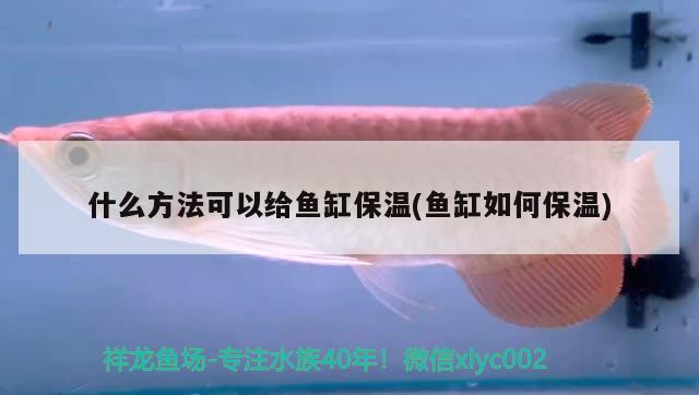 什么方法可以給魚缸保溫(魚缸如何保溫) 魚缸風(fēng)水