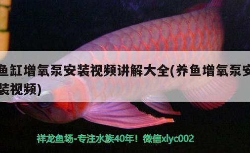 魚缸增氧泵安裝視頻講解大全(養(yǎng)魚增氧泵安裝視頻)