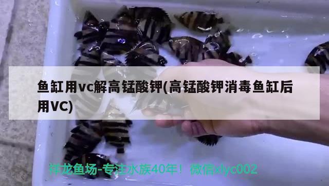 魚缸用vc解高錳酸鉀(高錳酸鉀消毒魚缸后用VC) 魚缸風水