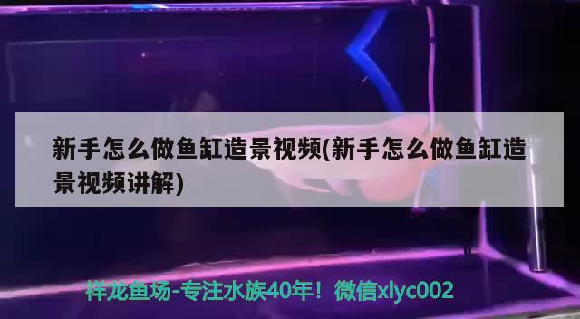 新手怎么做魚缸造景視頻(新手怎么做魚缸造景視頻講解) 魚缸風(fēng)水