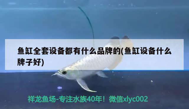 魚缸全套設備都有什么品牌的(魚缸設備什么牌子好) 魚缸風水