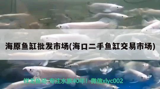 海原魚缸批發(fā)市場(?？诙拄~缸交易市場) 魚缸風(fēng)水