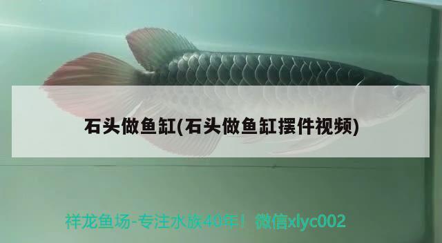 石頭做魚缸(石頭做魚缸擺件視頻) 白子黃化銀龍魚