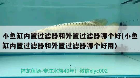 小魚(yú)缸內(nèi)置過(guò)濾器和外置過(guò)濾器哪個(gè)好(小魚(yú)缸內(nèi)置過(guò)濾器和外置過(guò)濾器哪個(gè)好用) 魚(yú)缸風(fēng)水