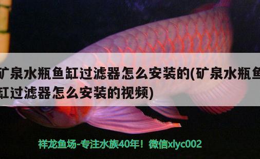 礦泉水瓶魚缸過濾器怎么安裝的(礦泉水瓶魚缸過濾器怎么安裝的視頻) 觀賞魚市場(chǎng)