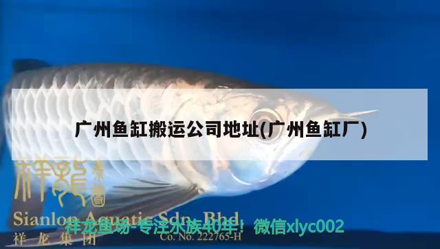 廣州魚缸搬運公司地址(廣州魚缸廠)