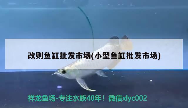 改則魚缸批發(fā)市場(小型魚缸批發(fā)市場) 魚缸風(fēng)水