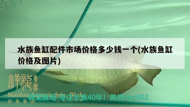 水族魚缸配件市場價格多少錢一個(水族魚缸價格及圖片)