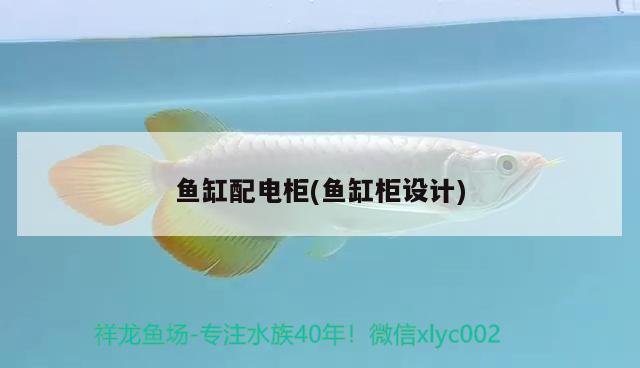 魚(yú)缸配電柜(魚(yú)缸柜設(shè)計(jì)) 魚(yú)缸風(fēng)水