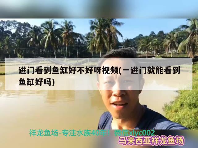 進門看到魚缸好不好呀視頻(一進門就能看到魚缸好嗎)