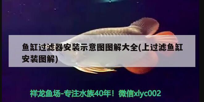 魚缸過濾器安裝示意圖圖解大全(上過濾魚缸安裝圖解) 魚缸風(fēng)水