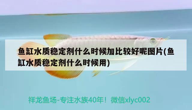 魚缸水質(zhì)穩(wěn)定劑什么時(shí)候加比較好呢圖片(魚缸水質(zhì)穩(wěn)定劑什么時(shí)候用) 魚缸風(fēng)水