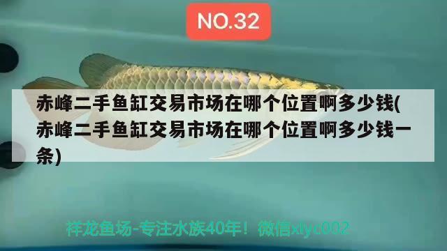 赤峰二手魚(yú)缸交易市場(chǎng)在哪個(gè)位置啊多少錢(赤峰二手魚(yú)缸交易市場(chǎng)在哪個(gè)位置啊多少錢一條) 養(yǎng)魚(yú)的好處