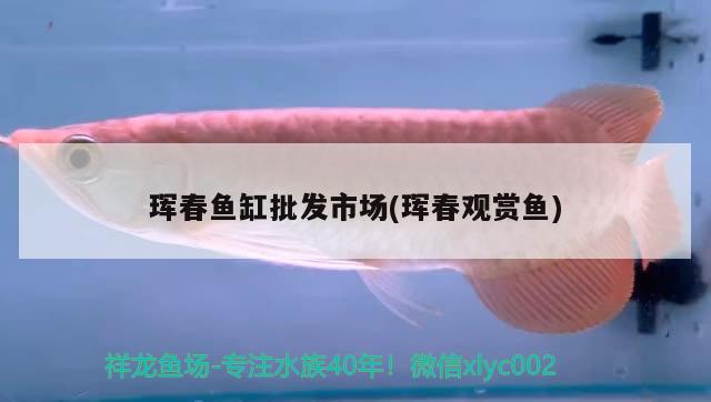 琿春魚缸批發(fā)市場(琿春觀賞魚) 魚缸風(fēng)水